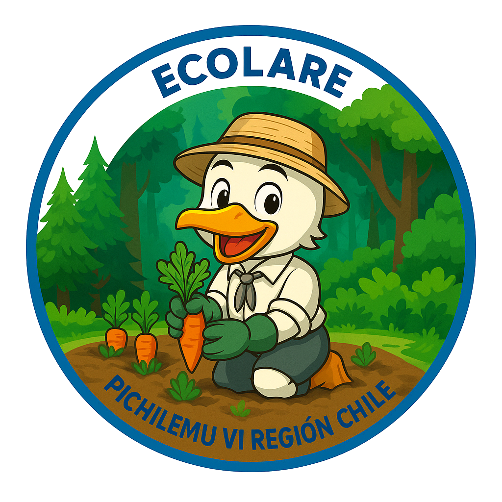 ECOLARE25 t