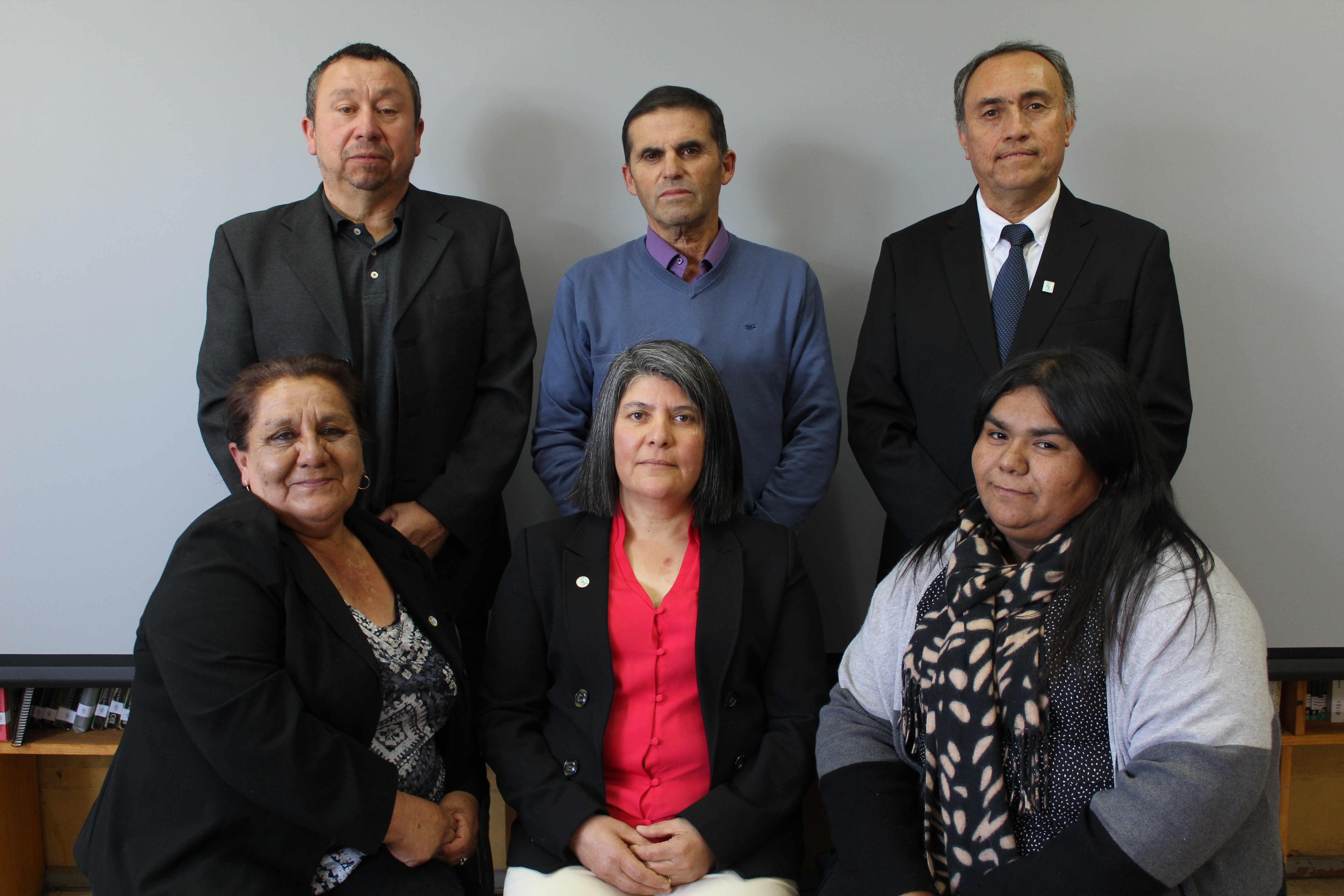 Inspectores